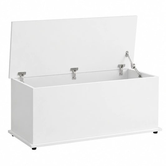 Chest, Box con Flip-Top Lid e 2 Safety Hinges, Trunk per soggiorno, Entryway, 100 × 40 × 40 cm